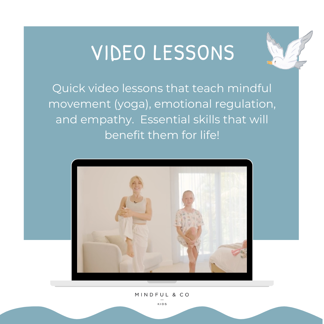 Wellness Routine Bundle