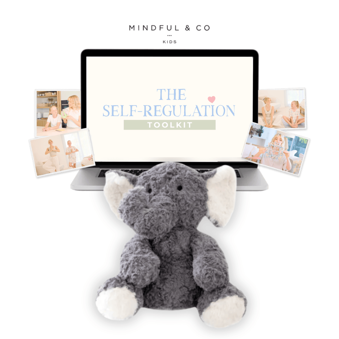 Weighted Buddy + Self-Regulation Toolkit