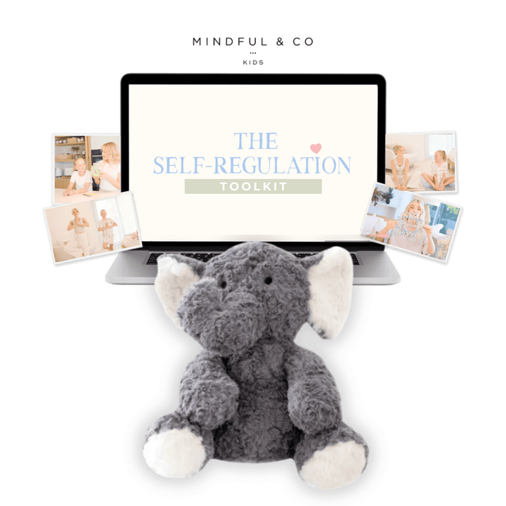 Weighted Buddy + Self-Regulation Toolkit