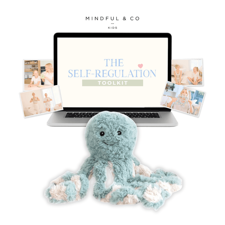 Weighted Buddy + Self-Regulation Toolkit