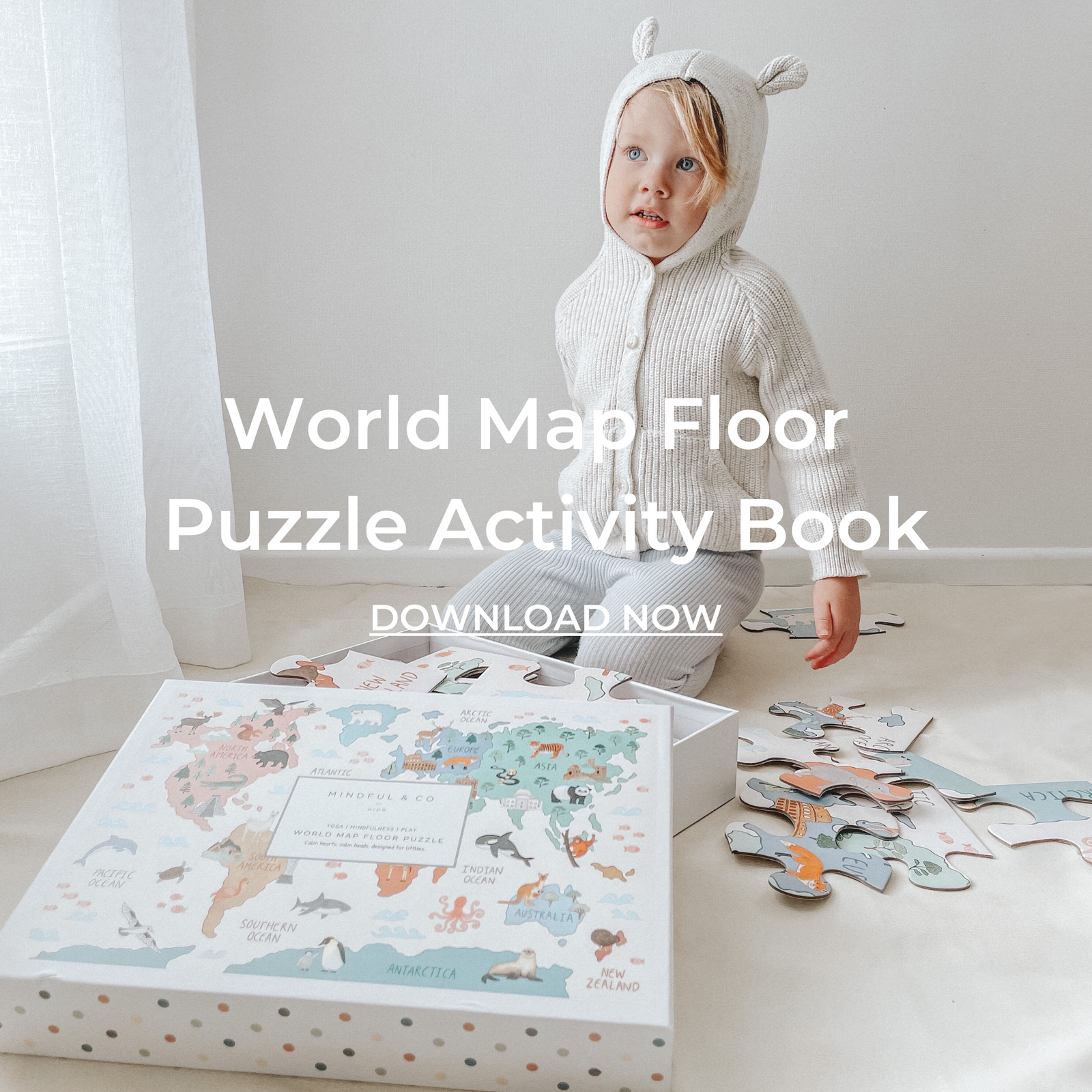 world map puzzle