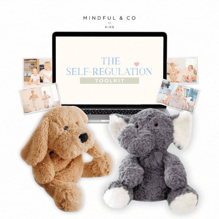Family Pack Course Option
