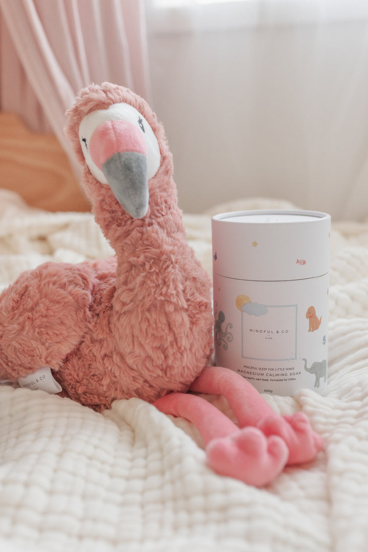 Sleepy Time Bliss Bundle